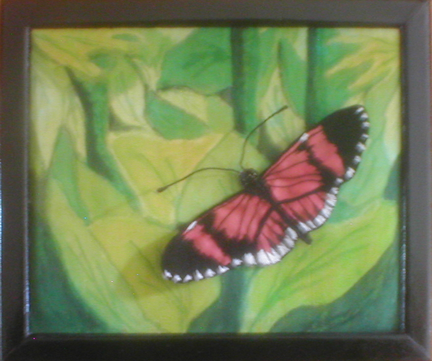 butterfly on painted background
