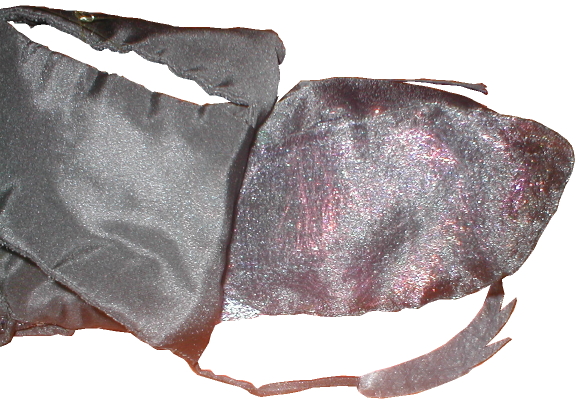 fore and hind wings