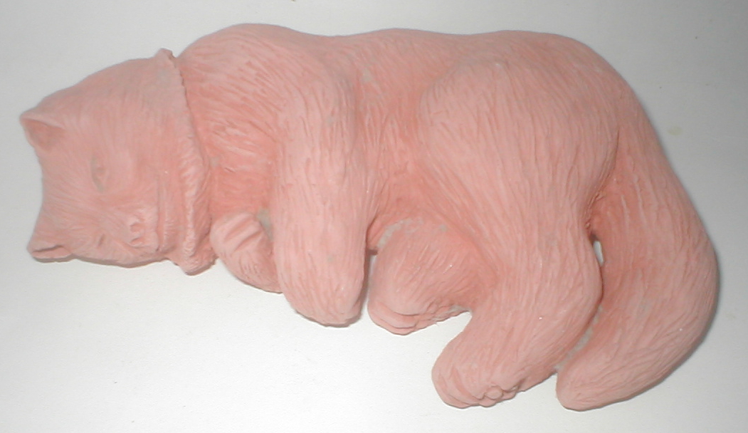sleeping cat