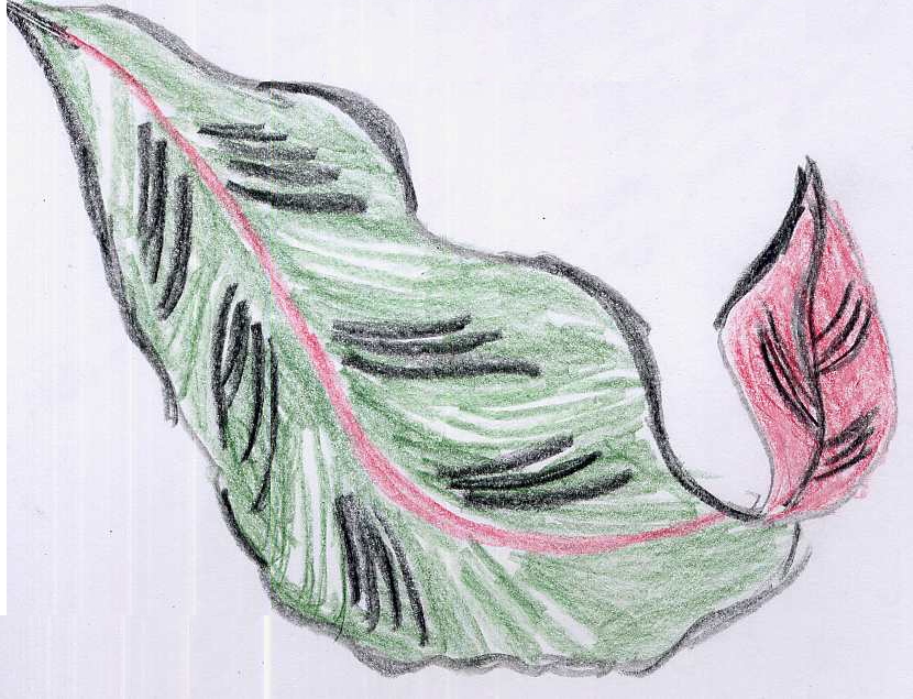 sketch of the source fabric