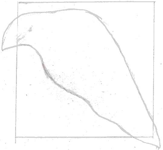 pencil sketch of the leaf beyond rectangle