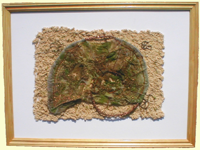 Image of the Ammonite