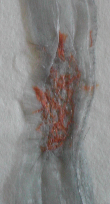 experiment1
